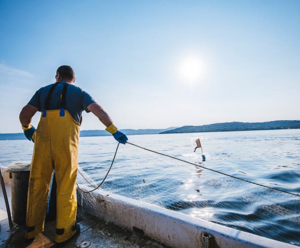 Fisherman reeling in a net