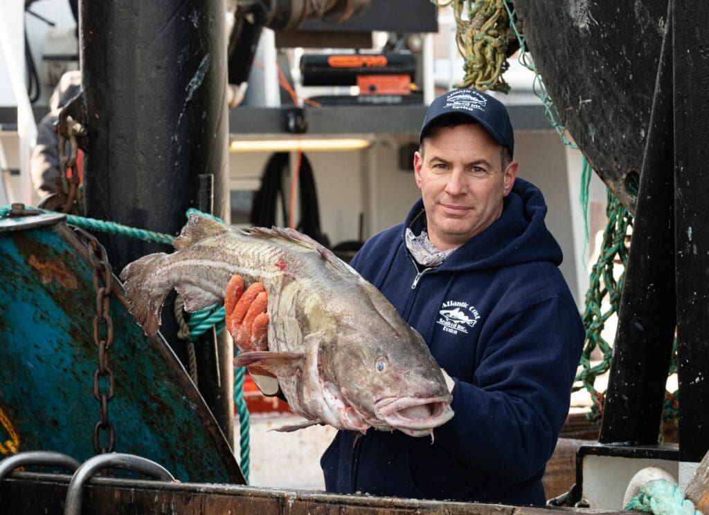 A fisherman in a navy blue hoodie and baseball cap stands on a boat, holding a large fish with both hands. He is wearing orange gloves, and there's visible fishing equipment around him. The fisherman looks at the camera with a serious expression.