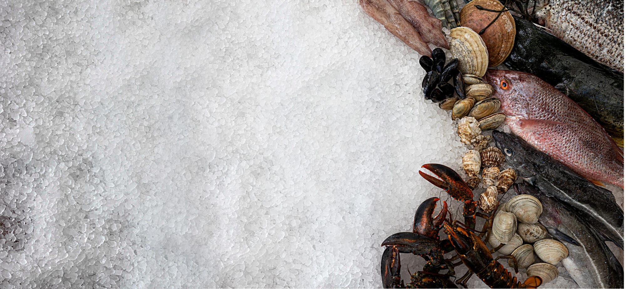 Various seafood, including fish, lobsters, mussels, and clams, are displayed on a bed of crushed ice. The arrangement is on the right side of the image, leaving a large portion of the ice-covered surface on the left side empty.