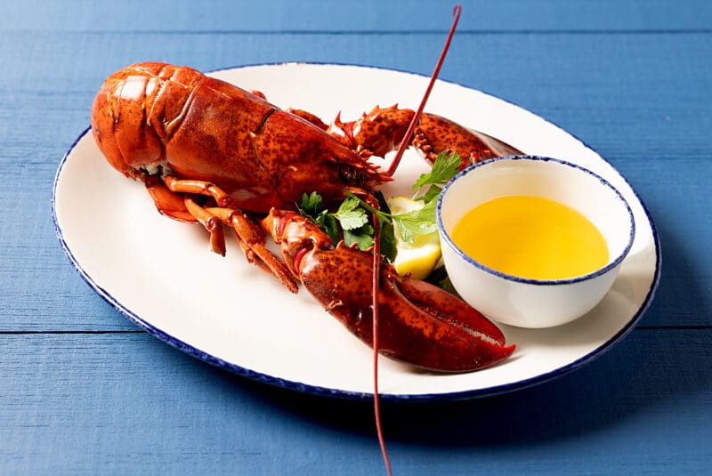 A whole cooked lobster is served on a white plate with blue trim. The dish includes a side of melted butter in a small white bowl. A garnish of fresh parsley and a lemon wedge are also placed on the plate. The plate rests on a blue wooden surface.