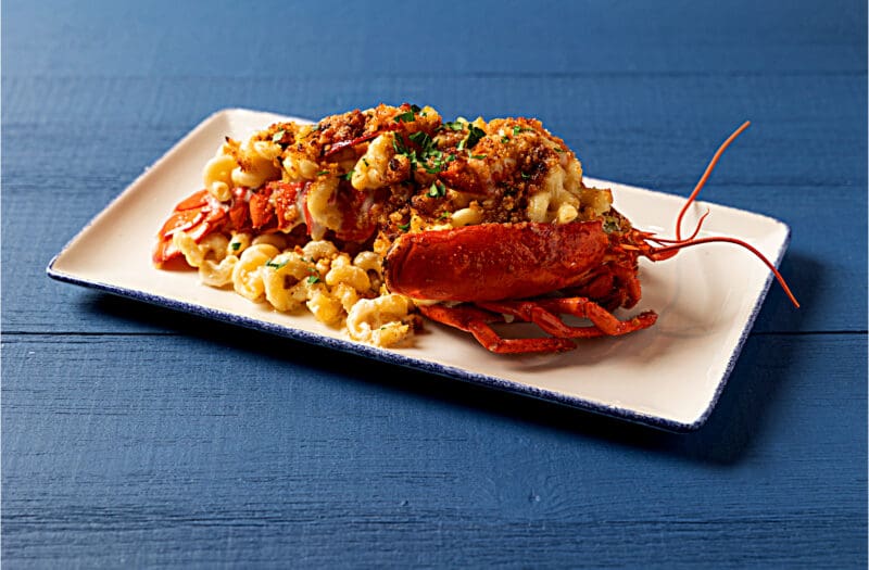 A plated dish of lobster mac and cheese is displayed on a rectangular white plate against a blue wooden background. The lobster is topped with a golden breadcrumb crust, with creamy macaroni and cheese filling the lobster shell and garnished with chopped herbs.