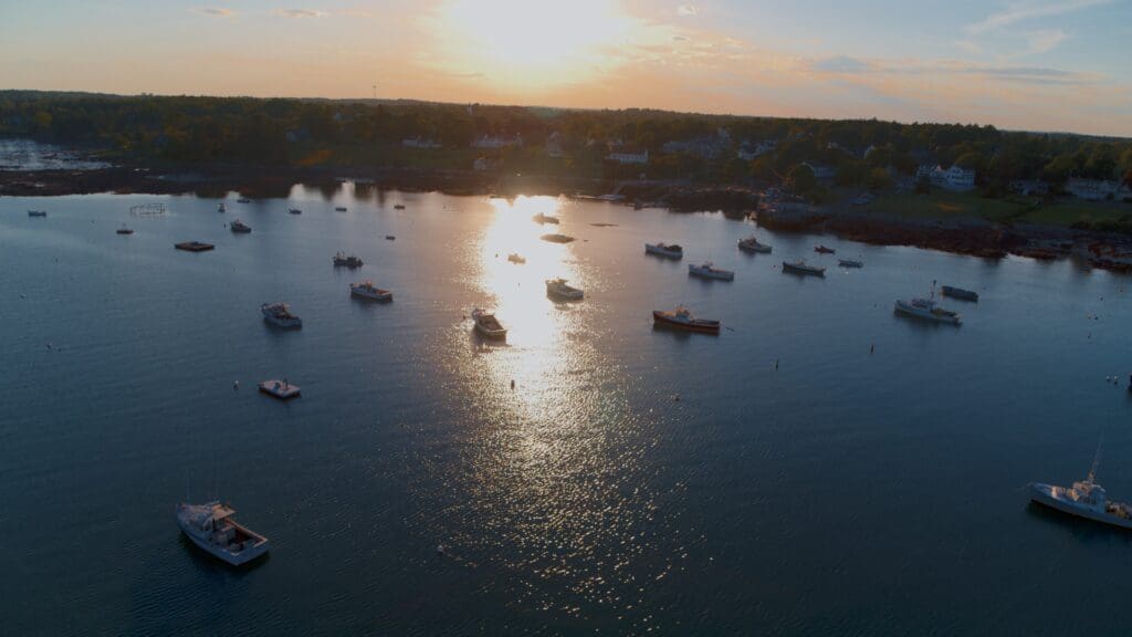 Sunset over a calm coastal harbor with scattered boats reflecting the sunlight on the water. The shoreline in the background features a mix of trees and houses. The sky is partly cloudy, adding a soft glow to the tranquil scene.