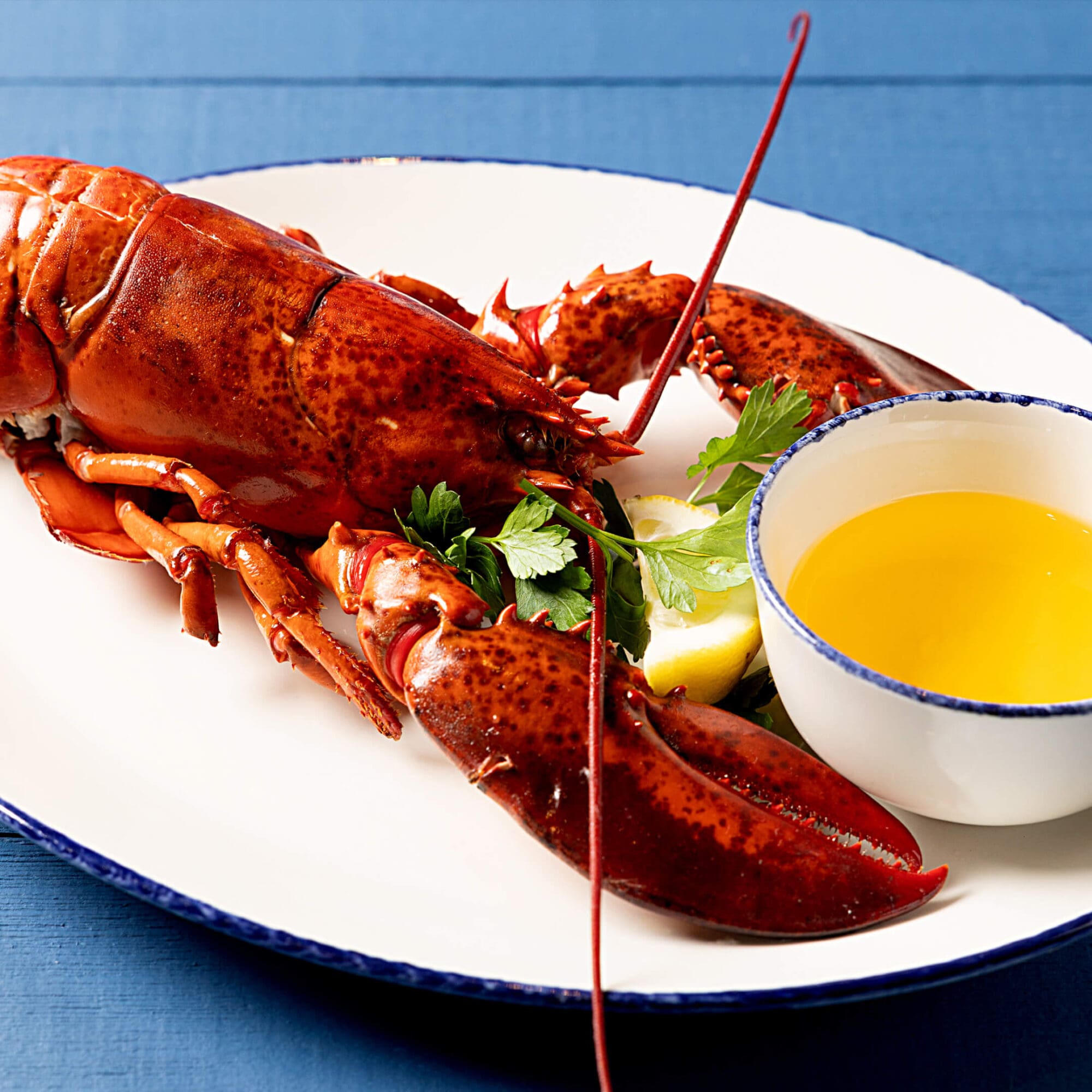 A whole cooked lobster sits on a white plate garnished with fresh parsley and a lemon wedge. Next to the lobster is a small bowl filled with melted butter. The plate is set against a blue background.